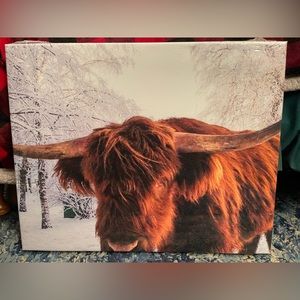 16x20 Highlander Canvas